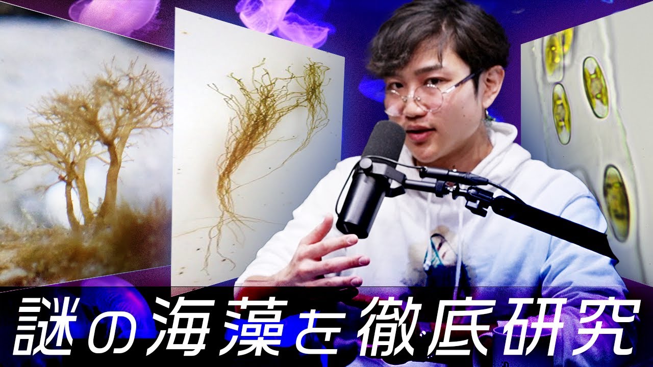 海藻の謎を解くために毎日4000個の細胞を数え続けた結果… #51