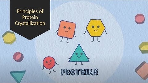 Principles of Protein Crystallization