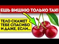 Как её ещё не запретили? Вот что творит вишня с сердцем, почками, сосудами, мозгом и даже...