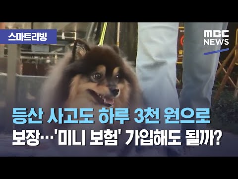 [스마트 리빙] 등산 사고도 하루 3천 원으로 보장…&amp;#39;<strong>미니</strong> 보험&amp;#39; 가입해도 될까? (2021.04.08/뉴스투데이/<strong>MBC</strong>)