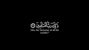 إن الذين آمنوا وعملوا الصالحات لهم أجر غير ممنون | كروما شاشة سوداء قرآن | إسلام صبحي | سورة فصلت