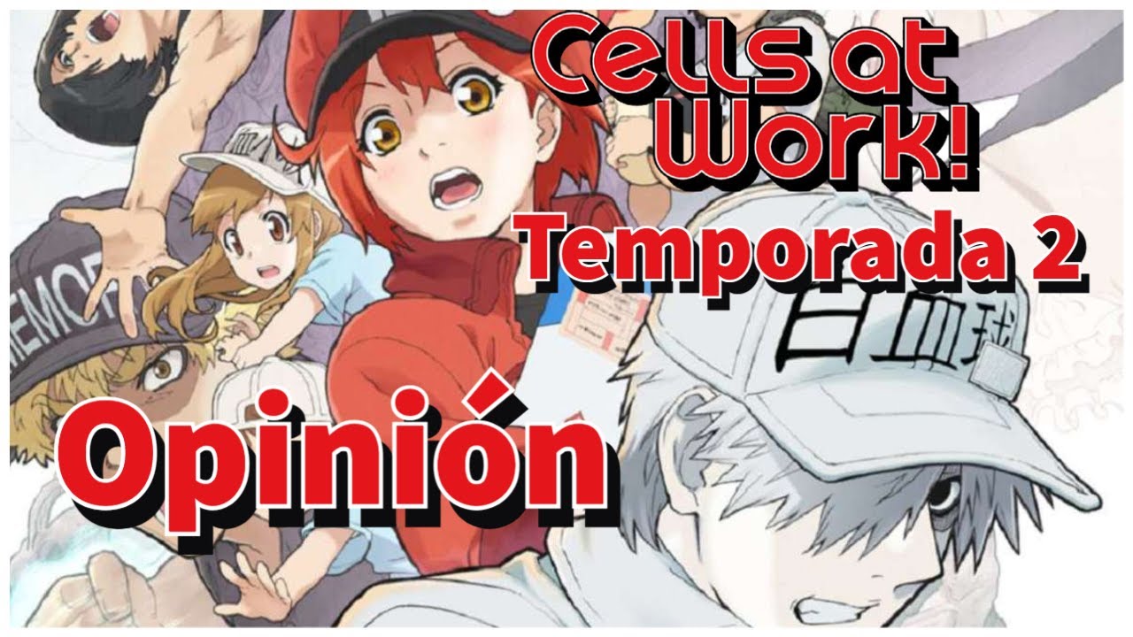 Cells at Work! Segunda Temporada