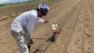 スーパー種まき機！ごんべえの歩き方！