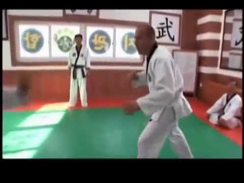 mestres do combate hapkido mestres do combate hapkido