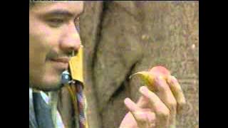 Download lagu Globaltv Gudang Garam Gold 22 48 (04/03)