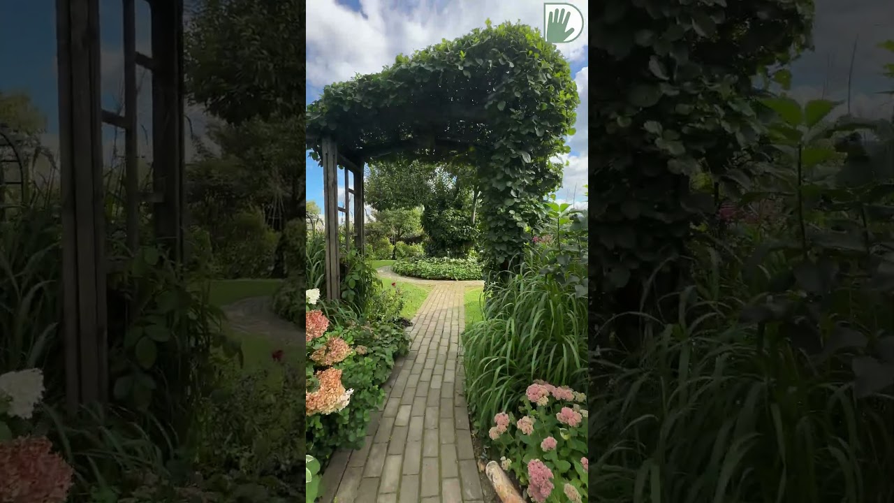 Возвращение в знаменитый сад Екатерины Лакшиной! Что изменилось? 🌟  