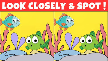 For Sharp Eyes and Sharp Brains Only 3 Differences Challenge! Test Your Observation Skills | Trivia