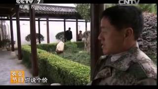 20140424 乡土 素味九华山