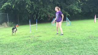 Bright threadle and threadle turns