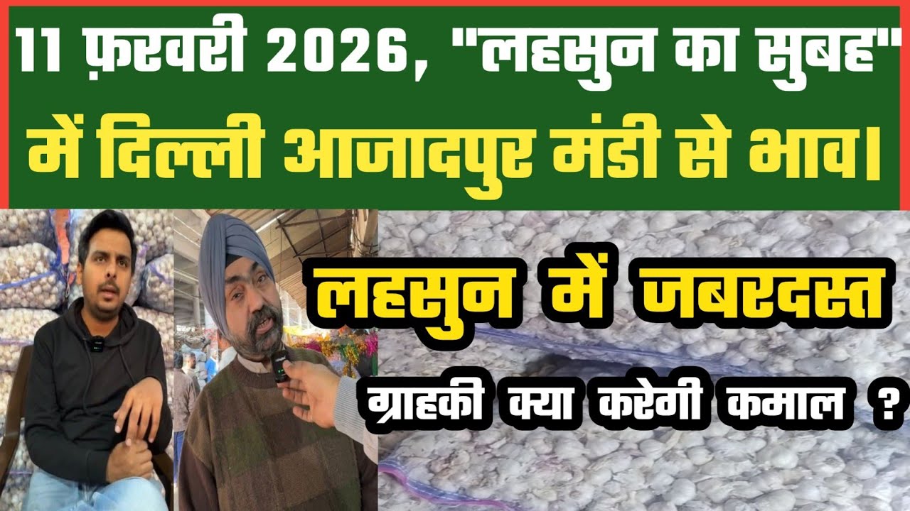 लहसुन बाज़ार बना अच्छा ? Azadpur Delhi Mandi Today 11-02-2026 को बने ऐसे Garlic Price DMT TV