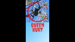 My queen hurt!