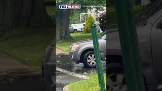Wind damage in Massachusetts