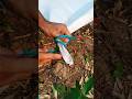 Tarp Corner Knot That Never Slips!