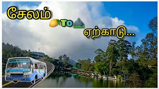 சேலம் To ஏற்காடு வரை பேருந்து பயணம் | Salem to Yercaud bus travel | Travel vlog | Yercadu road trip