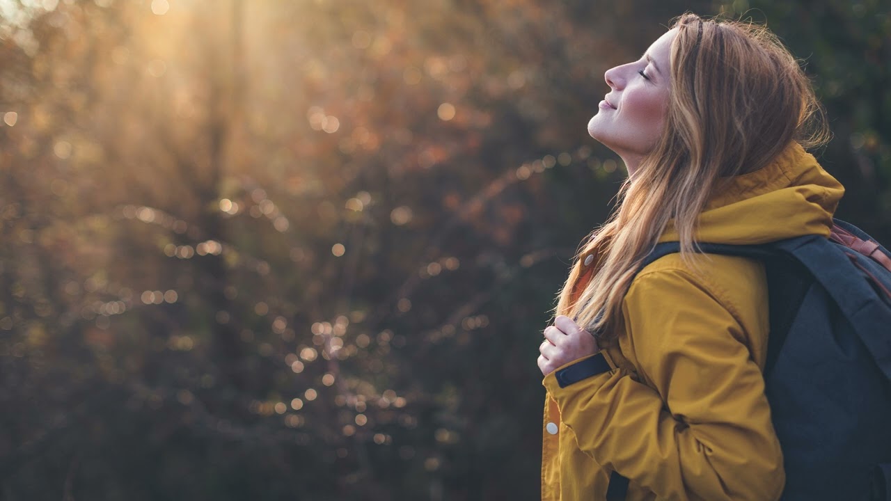 Trusting Intuition 🎯 Herbal/Plant Frequency 🪻 639hz 💫