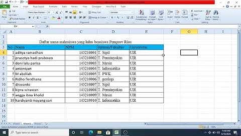 Bagaimana mencari data di Ms Excel? || Shortcut Ctrl + F