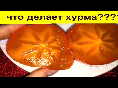 Что Будет, Если ЕСТЬ ХУРМУ КАЖДЫЙ ДЕНЬ?