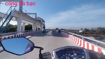 câu đài hồ tự nhiên.. rô phi nước mặn chạy như hàng khủng