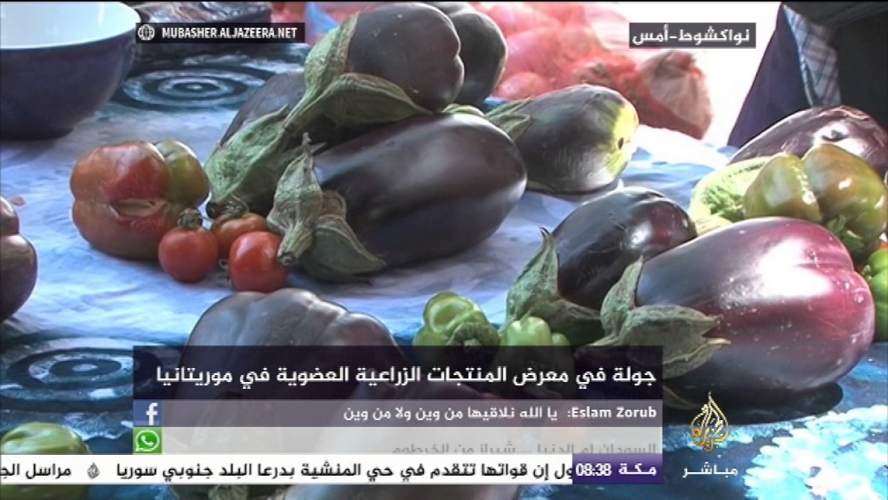 جولة في معرض المنتجات الزراعية العضوية في موريتانيا