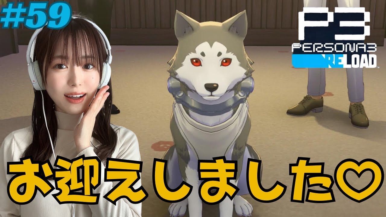 ペルソナ3リロード/P3R】#59 コロマル加入でデレデレ【薬剤師の顔出し