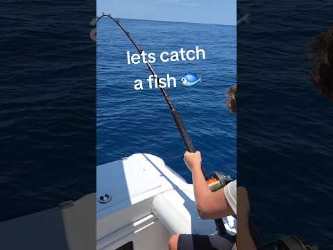 Big Fight, Small Fish: Reef Donkey Battle! #Amberjack #ReefDonkey #KidWhoFishes #OffshoreFishing