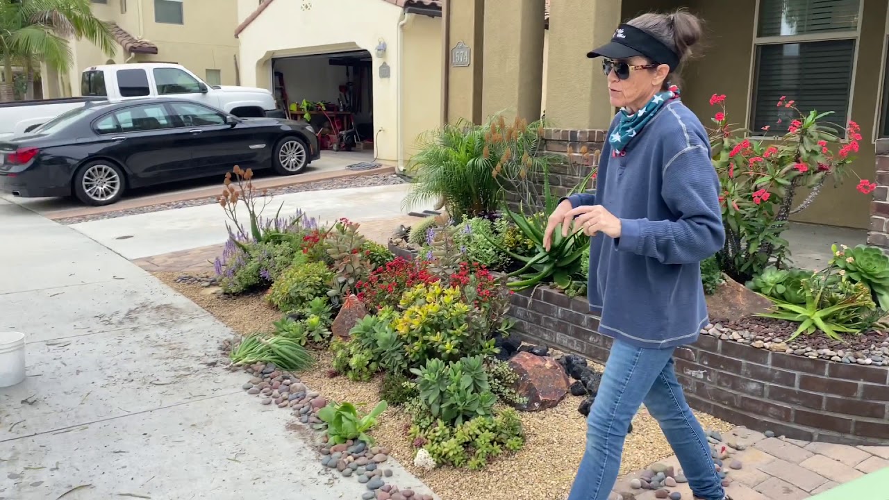 Extreme Succulent Garden Maintenance Day 4 April 30