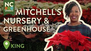 Mitchell’s Nursery and Greenhouse - King, NC | North Carolina Weekend