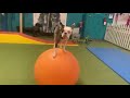 Lollipop proves that Boston Terriers are really smart! (Dog Training Tricks)