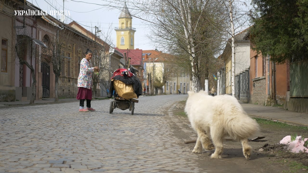 Як живуть і чого хочуть українські угорці Берегового