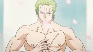Zoro Vs Samurai Amv-Rise Up