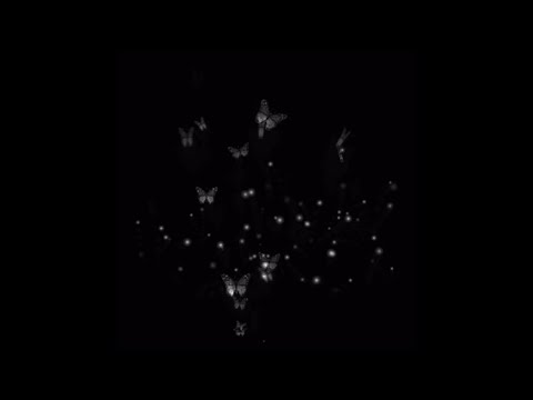 Butterfly／倖田來未　男が原キーで歌