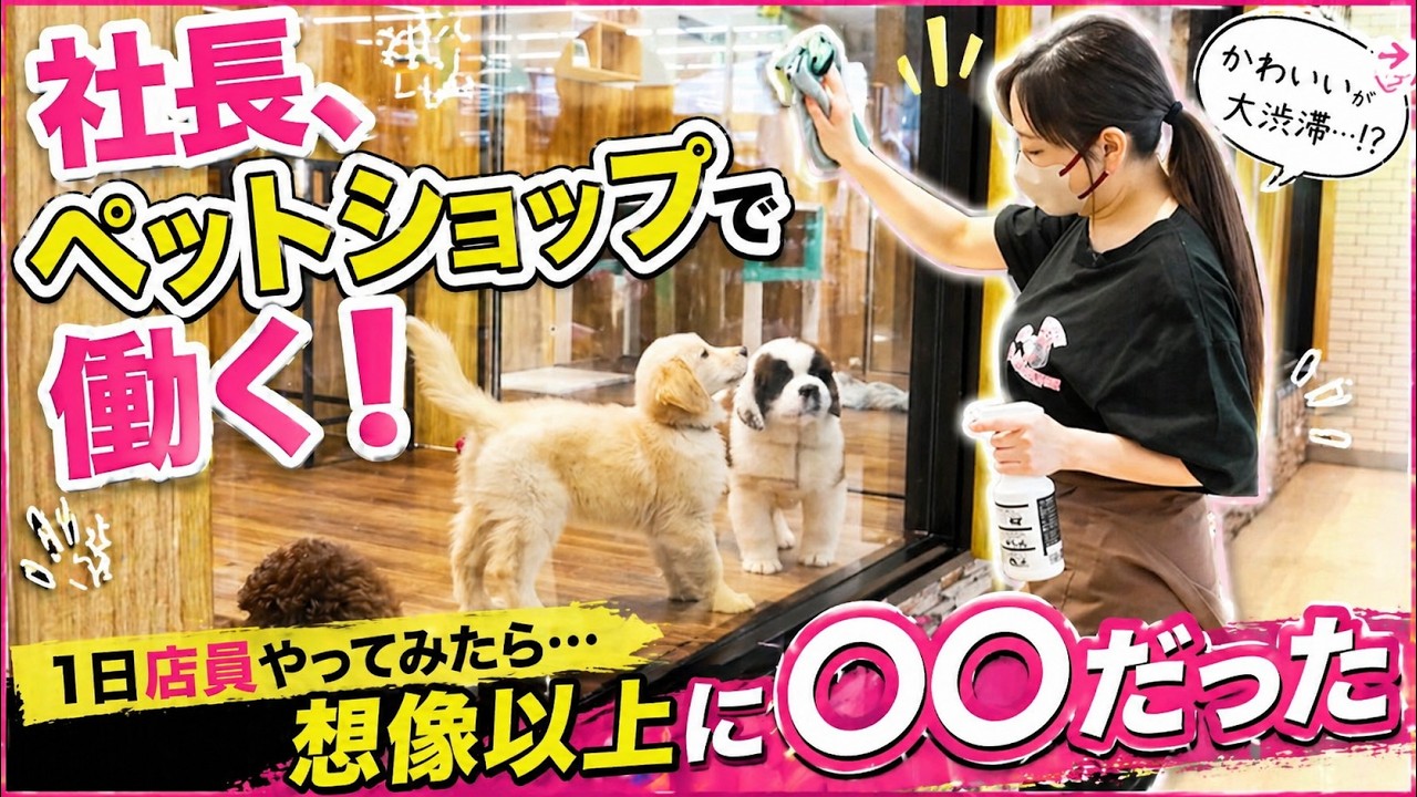 I infiltrated a specialty store for large dogs! I tried working