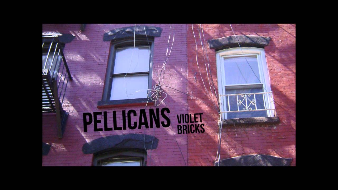 Pellicans - Violet Bricks