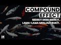 Compound effect sedikit demi sedikit lamalama menjadi bukit