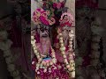 Mara banke bhari lal 💗💗#video #short video