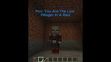 Pov: You Are The Last Pillager In A Raid #minecraft #funny #villager