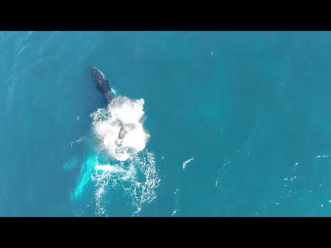 Foil Drive Gen2 surf foiling perfection up north west Australia.