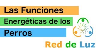 Las Funciones Energéticas de los Perros