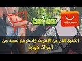 أفضل موقع لإسترجاع الأموال عند الشراء في علي اكسبرس Aliexpress Cashback أفضل موقع لإسترجاع الأموال عند الشراء في علي اكسبرس Aliexpress Cashback