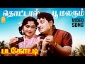 Thottal Poo Malarum - HD Video Song | தொட்டால் பூ மலரும் | Padagotti | MGR | Saroja Devi