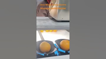 Citrus Weight Sorting Packing Line #fruitsorting #grading #sorting