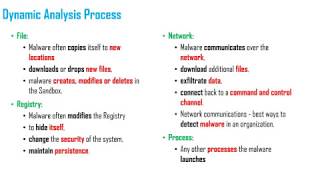 DYNAMIC ANALYSIS MODULE 1
