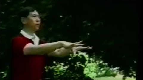 Shi Ba Shi Qi Gong 太极气功十八式 - Master Lin Hou Sheng