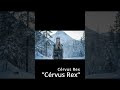 Cérvus Rex- "Cérvus Rex"(short) #artmusic#Shorts #NewMusic #Cinematic #Storytelling