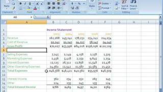 Change a Theme Effect in Excel 2007 Net Worth