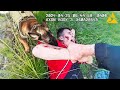 Don't Ever Run From A Police Dog...