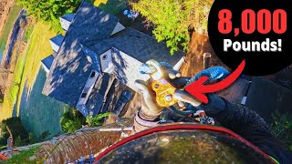 Celebrity Removing 5 Trees Over This House! Wild Rigging! Risky Cutting! Wealth