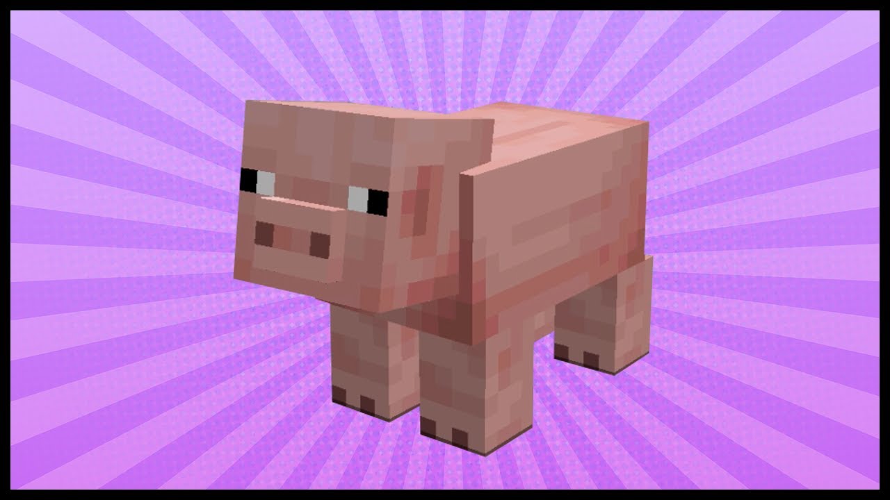 Minecraft Pigs: How To Find Pigs In Minecraft? - YouTube