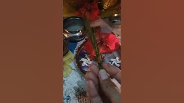 12 नवंबर बुधवार अष्टमी को करे 7 दूर्वा का अचूक उपाय#pradeepmishra #shiv #pradeepmishrajidhankeupay