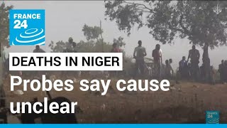 Probes into anti-France demo deaths in Niger say cause unclear • FRANCE 24 English